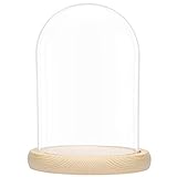 BELLE VOUS Glas Glocke Glaskuppel Groß mit Holzboden – 20cm Dekorative Glashaube als Tischdeko, Deko Glas Kuppel Transparent Glasglocke, Glass Dome Cloche mit Boden für Lichter, Deko, Wohnaccessoire