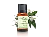 Ätherisches Myrtenöl 10 ml – 100% rein und authentisch, GCMS-geprüft