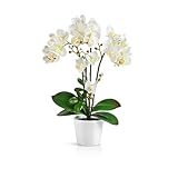 PASCH® Orchideen künstlich in Hochglanz-Keramiktöpfen (46cm) | Kunstblumen im Topf | Kunstblumen wie echt | künstliche Orchideen im Topf (Weiß)