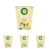 Air Wick Wohlfühl-Duftkerze XL im Glas – Duft: Sweet Vanilla Magic – Bis zu 40 Stunden Brenndauer – Enthält natürliche ätherische Öle – 220 g Duftkerze (Packung mit 4)