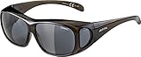 ALPINA OVERVIEW - Verzerrungsfreie und Bruchsichere OTG Sonnenbrille Mit 100% UV-Schutz Für Erwachsene, black transparent gloss, One Size