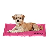 Relaxdays Kühlmatte Hund, 20 x 35 cm, selbstkühlende...