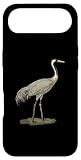 Hülle für iPhone Air Sandhill Crane Antigone Canadensis Bird bevorzugt Nordamerika