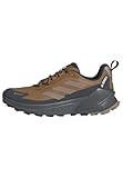 Adidas Herren Terrex Trailmaker 2 Gore-TEX Hiking Shoes, Bronze Strata/Blanch Cargo/Carbon, 47 1/3 EU