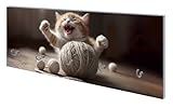 Wallario Wandgarderobe aus Glas in Größe 80 x 30 cm mit Memoboard-Funktion, Motiv: Katze mit Wollknäuel | 5 Kleiderhaken zum Aufhängen von Jacken