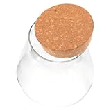 Toyvian Multi purpose Glasflasche mit Korken Mikrolandschaft Flasche Desktop Sukkulentenbehälter für DIY umweltfreundliche pflanzenaufbewahrung Kompakt Leicht Dekorativ