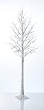 Northpoint LED Lichtbaum Baum Weihnachtsdeko Indoor & Outdoor | Birkenoptik | 180cm | 200 warmweiße LEDs | inkl. Timer