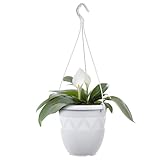 Plastard Blumentopf Hängeampel 15 cm Durchmesser Farbe Weiß, Kunststoff Hängetopf ohne Löcher für Innen und Außen, Deko Übertopf zum hängen, witterungsbeständiger Pflanzkübel