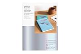 Cricut Bedruckbares Vinyl, A4, 10 Blatt (Silber)