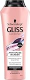 Gliss Anti-Spliss Wunder Shampoo (250 ml), Haarshampoo repariert geschädigte Haarfasern, Pflegeshampoo stärkt das Haar und reinigt sanft