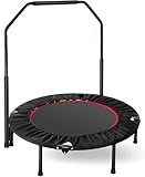 LIFERUN Indoor-Trampolin Ø101cm,Faltbares Fitness-Trampolin,Trampolin für Jumping Fitness,Tragfähigkeit 150 kg,Verstellbare Handlaufhöhe,Ausdauertraining,Verschiedene Personengruppen,Schwarz