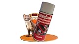 LudwigLacke Kabelschutzspray/Marderschutzspray 400 ml – Zuverlässiger Schutz gegen Marderverbiss Marder Schutz Spray Marderabwehr