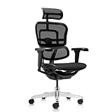 hjh OFFICE Bürostuhl ergonomisch ERGOHUMAN Ultra GEN2 Originales Design, Bürosessel mit Flexibler Lendenwirbelstütze, Netzbespannung, Schwarz