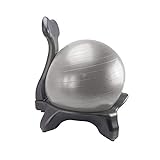 SHPEHP Balanced Ball Chair Sportstabiler Yogastuhl Ergonomischer Hochstuhl Abnehmbare Rückenlehne und abschließbares Rad für Schreibtische zu Hause und im Büro. Rückenlehnenstütze erhältlich-gr