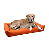 dogsfavorite, Hundebett Starter aus Kunstleder, Hundekissen, Pflegeleicht, 110 x 80 cm, orange