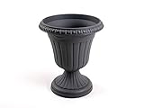 Formplastic Pflanzpokal dekorative Amphore Pflanzgefäß Schale Vase athrazit grau H 36 cm Blumentopf Milano