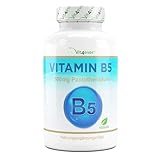 Vitamin B5 mit 500 mg - 180 Kapseln - Pantothensäure - Hochdosiert - Vegan - Laborgeprüft (Wirkstoffgehalt & Reinheit) - B Vitamin für Haut & Nerven - Premium Qualität