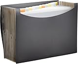Amazon Basics Dokumentenmappe A4, Fächermappe, Schwarz
