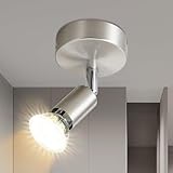 Lichtmaler LED Deckenspots GU10 Wandstrahler - Deckenleuchte Edelstahl Schwenkbar 330°Deckenstrahler 1 Flammig Deckenlampe Flurlampe Wand Schlafzimmer Badezimmer Küche Ohne Leuchtmittel