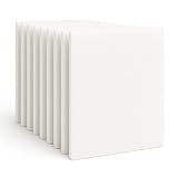 Microsafe® 10x Universal...