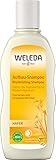 WELEDA Bio Hafer Aufbau-Shampoo, Naturkosmetik Pflegedusche für strapaziertes und trockenes Haar, Haarshampoo glättet die Haare und mindert Haarbruch und Spliss (1 x 190 ml) | 190 ml (1er Pack)