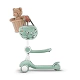 Bärenwerke LR 300 T Scooter 2-in-1-Funktion klappbarer Sitz höhenverstellbar leuchtende LED-Räder, Kinderroller ab 2 bis 8 Jahre, für Mädchen & Jungen