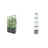 Bio Green JGL-T, City Jungle, Der kleine Garten für Balkon und Terrasse & Pflanzen-Aufzucht-Turm Maxitom, mit Rankhilfe für Tomaten und 2 L Wasserspeicher, Terracotta