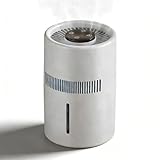 2 in 1 Luftreiniger Und Luftbefeuchter, 4l 5w Kein Nebel Wassertank Stille Verdunstungsbefeuchter Desktop Luftreiniger Luftreiniger Wasser Luftreiniger Befeuchter Für Büroschlafzimmer Kinderzimmer