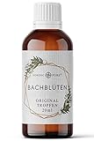 Bachblüten Tropfen nach Dr. Bach | Der kleine Helfer von Nordic Pure