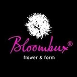 !!WELTNEUHEIT!! Bloombux® – flower & form by INKARHO® 25-30 cm breit im 2 Liter Pflanzcontainer