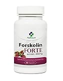 Forskolin Forte Extrakt 400 mg 60 Kapseln Indische Brennnessel Gesunder schneller Gewichtsverlust