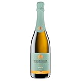 Jechtinger Cremant Brut - Sekt Brut frisch, lebhaft & feinperlig - ideal als Aperitif oder Sekt-Geschenk geeignet - Anbaugebiet Kaiserstuhl (1 x 0,75l)