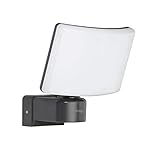 Oktaplex lighting LED Außenstrahler Außen Cali 30W | Wand Strahler IP65 3000K warmweiß | Flutlicht anthrazit