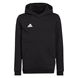 adidas Unisex Kinder Entrada 22 Sweat Hoodie, Black, 152