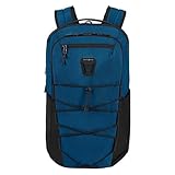 Samsonite Dye-Namic - Laptoprucksack 15.6 Zoll, 45 cm, 20.5 L, Blau (Blue)
