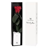 Infinity Rose rot am Stiel (3 Jahre haltbar) in Geschenkbox I Valentinstag Deko Geschenk I Eine konservierte Blume mit Rosenduft I Inkl. Geschenkkarte