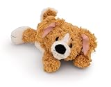 NICI Kuscheltier Hund 20cm - braun - Weiches Plüschtier – niedliches Stofftier zum Kuscheln & Spielen – tolle Geschenkidee für Kinder & Erwachsene - 62140