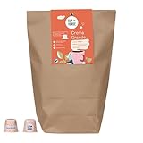 CUP VERDE – 100 Crema Grande Premium Kaffeekapseln kompatibel mit Nespresso* / kräftig aromatisch/Nachhaltig - Heim kompostierbar – Schonende Langzeitröstung