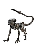 Neca Aliens Fireteam Actionfigur Runner, XN51714