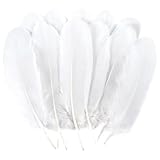 Qnvyw 150 Stück Weiße Federn zum Basteln, Natürliche Gänsefedern zum Basteln, Bastelfedern für Traumfänger, Kostüme, DIY-Bastelarbeiten, Hochzeitsdekorationen, Halloween, Karneval (10-15 cm)