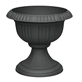 Pflanzen Kölle Blumenspindel, D 40 x H 36 cm, Kunststoff,...