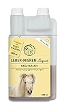 Annimally Leber Nieren Liquid für Pferde - 1000ml Kräutersaft mit Mariendistel & Artischocke für die Leber - Nierensaft für einen gesunden Stoffwechsel beim Pferd