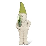 Abbott Collection Home Garden GNOME