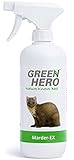 Green Hero Marder-EX Anti Marderspray 500ml Marderabwehr fürs Auto schnelles und effektives Marderabwehrspray, Marderschreck Auto Spray, Anti Marder Spray zum Fernhalten von Marder