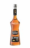 Sanz Mangosirup mit 22 % Mangosaft, alkoholfrei, 0,7 L