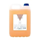 Valquer Profesional Shampoo Ph Neutral - Revitalisierend mit Glanz und Pro-Vitamin B5 - Karaffe für Friseure - 5 L