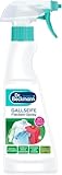 Dr. Beckmann Gallseife Flecken-Spray, 250 ml