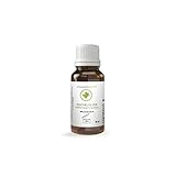 Fenchelöl süß - 10 ml - foeniculum vulgare - 100% naturreines ätherisches Öl
