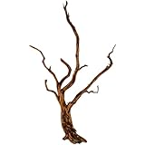 Natunae - Holz Red Spider King Wood, Moorkienwurzel Deko für Aquarium, Zierstamm, Dekoration für Terrarien S 20-30 cm
