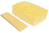 Spontex Quellschwamm aus 100 % biologisch abbaubarer...